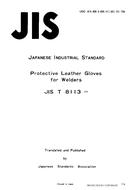 JIS T 8113