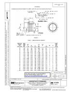 SAE AS5838