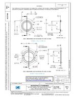 SAE AS27198B