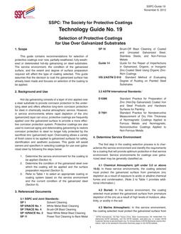 SSPC Guide 19